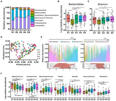 Diversity and temporal dynamics of breast milk microbiome and its influencing factors in Chinese women during the first 6 months postpartum